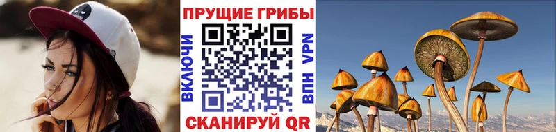 Псилоцибиновые грибы GOLDEN TEACHER  наркота  kraken сайт  Киренск 